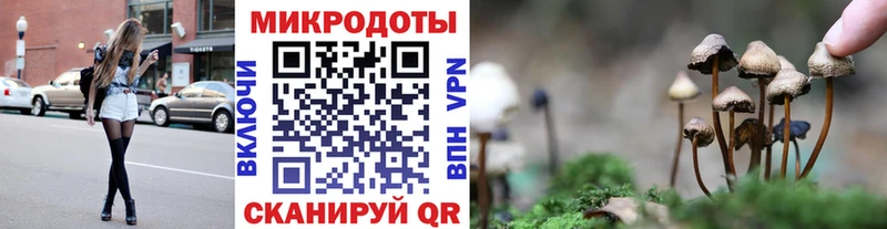 Псилоцибиновые грибы мицелий Миньяр