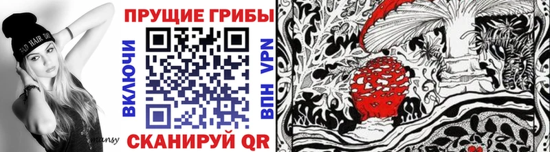 Псилоцибиновые грибы Magic Shrooms  Купить  Миньяр 